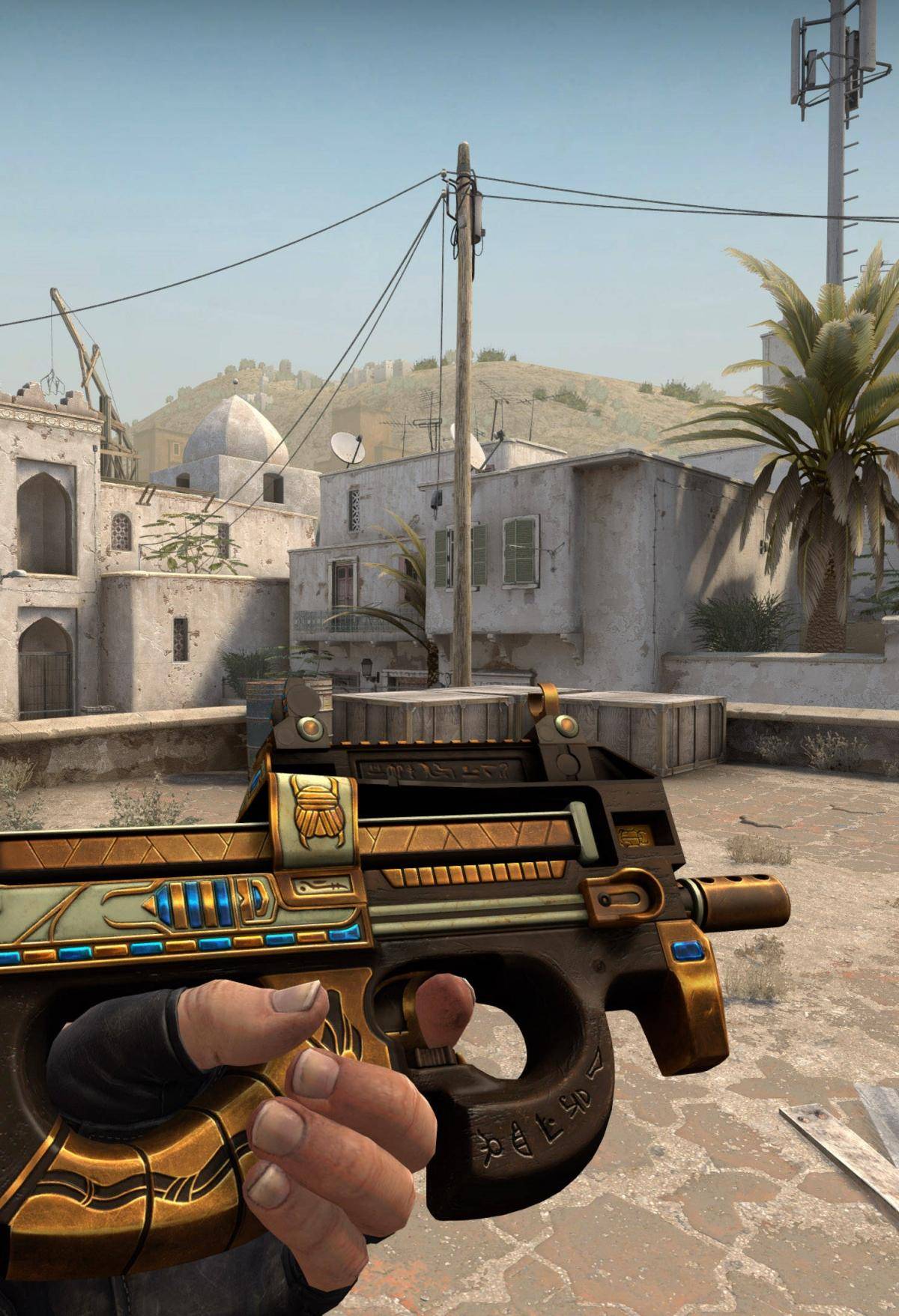 Tarzan：我们的夏季赛从现在正式开始